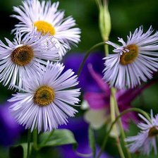 Cross stitch pattern: #873311