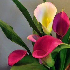 Cross stitch pattern: #873312