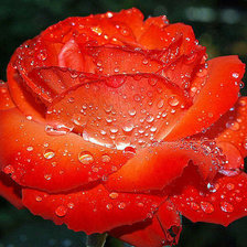 Cross stitch pattern: #873340