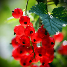 Cross stitch pattern: #873350