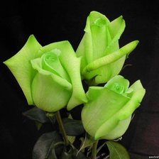 Cross stitch pattern: #873355