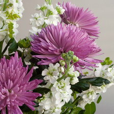 Cross stitch pattern: #873358