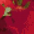 Preview of cross stitch pattern: #873368
