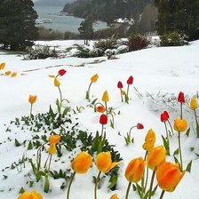 Cross stitch pattern: #873372