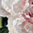 Preview of cross stitch pattern: #873506