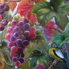 Cross stitch pattern: #873655