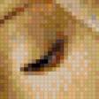 Preview of cross stitch pattern: #873821