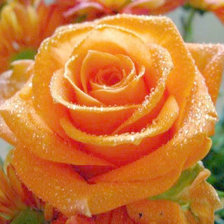 Cross stitch pattern: #873851