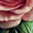Preview of cross stitch pattern: #874512