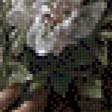 Preview of cross stitch pattern: #874760