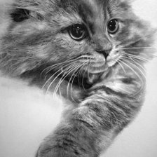 Cross stitch pattern: #875336