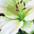 Preview of cross stitch pattern: #875378