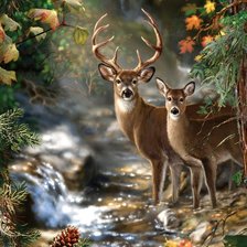 Cross stitch pattern: #875524