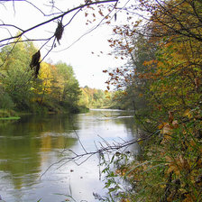 Cross stitch pattern: #875638