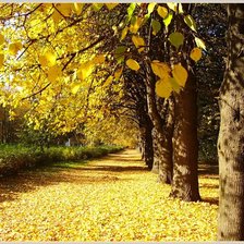 Cross stitch pattern: #875641