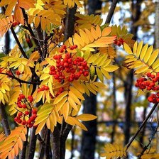 Cross stitch pattern: #875652