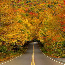 Cross stitch pattern: #875655