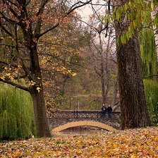 Cross stitch pattern: #875657