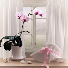 Cross stitch pattern: #875658