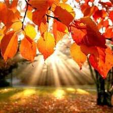 Cross stitch pattern: #875678