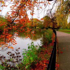 Cross stitch pattern: #877044