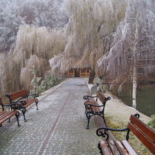 Cross stitch pattern: #877045