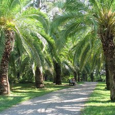 Cross stitch pattern: #877049