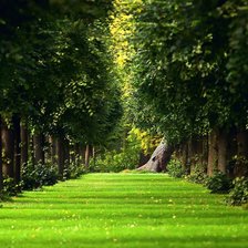 Cross stitch pattern: #877050