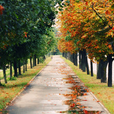 Cross stitch pattern: #877054