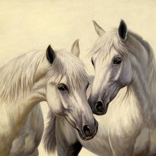 Cross stitch pattern: #877427