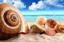 Cross stitch pattern: #877564