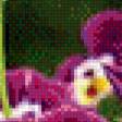 Preview of cross stitch pattern: #878111