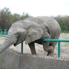 Cross stitch pattern: #878118