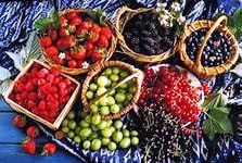 Cross stitch pattern: #878779