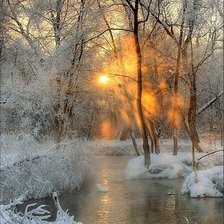 Cross stitch pattern: #878905