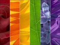 Cross stitch pattern: #878944