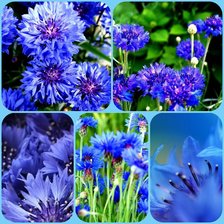 Cross stitch pattern: #878946