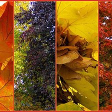 Cross stitch pattern: #878949