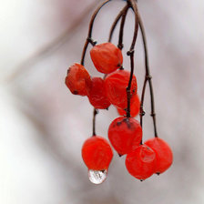 Cross stitch pattern: #879001