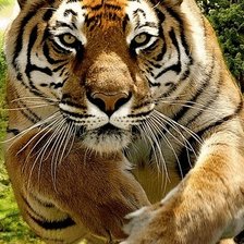 Cross stitch pattern: #879102