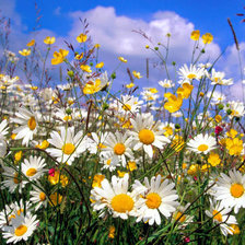 Cross stitch pattern: #879112