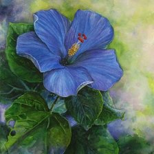 Cross stitch pattern: #879653