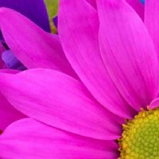 Cross stitch pattern: #879995
