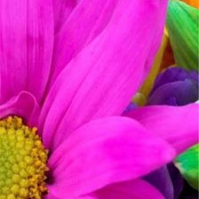 Cross stitch pattern: #880001