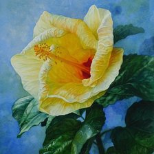 Cross stitch pattern: #880463