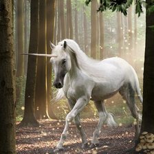 Cross stitch pattern: #880697