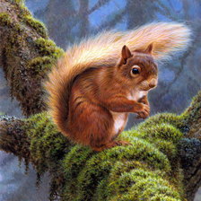 Cross stitch pattern: #880779