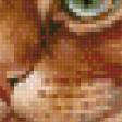 Preview of cross stitch pattern: #880788