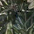 Preview of cross stitch pattern: #880790