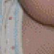 Preview of cross stitch pattern: #881576